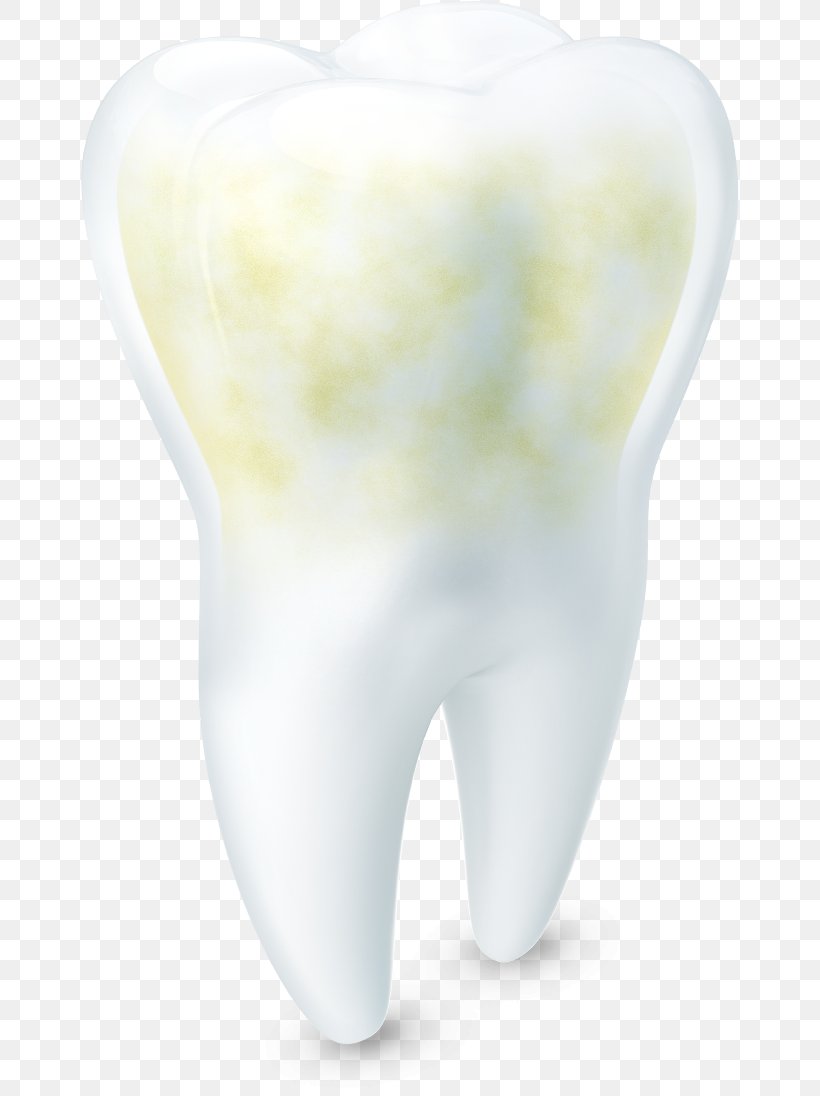 Tooth Enamel Tooth Wear Tooth Decay Acid, PNG, 659x1096px, Watercolor, Cartoon, Flower, Frame, Heart Download Free