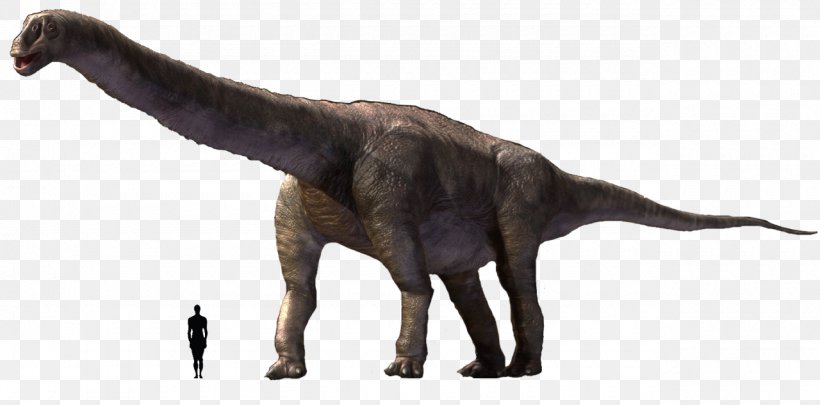 Argentinosaurus Tyrannosaurus Brachiosaurus Camarasaurus Dinosaur, PNG, 1280x633px, Argentinosaurus, Amargasaurus, Animal, Animal Figure, Brachiosaurus Download Free