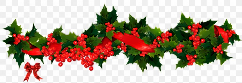 Christmas Holly Ilex Holly, PNG, 1300x450px, Christmas Holly, Branch, Christmas, Flower, Holly Download Free