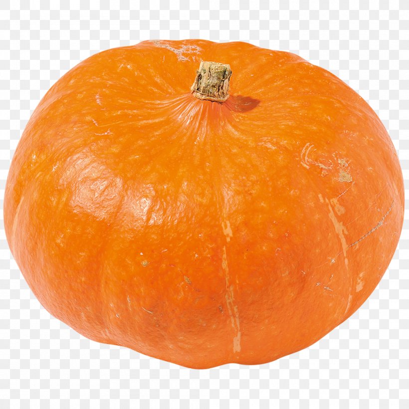 Jack-o'-lantern Winter Squash Gourd Clementine Tangerine, PNG, 1000x1000px, Jacko Lantern, Calabaza, Citrus, Clementine, Cucumber Gourd And Melon Family Download Free