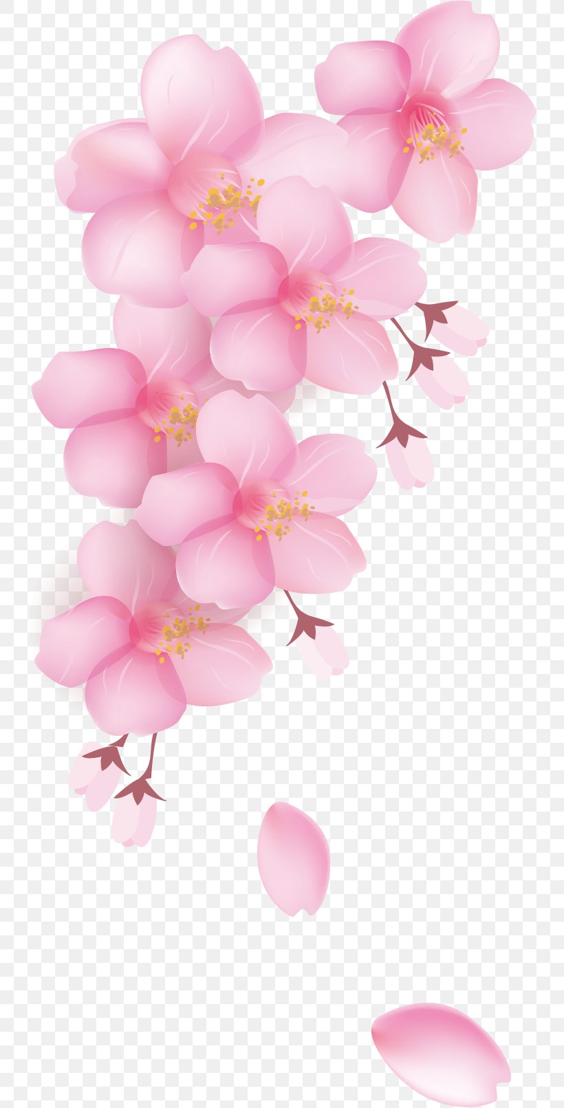National Cherry Blossom Festival Petal, PNG, 742x1611px, National Cherry Blossom Festival, Animation, Balloon, Blossom, Branch Download Free