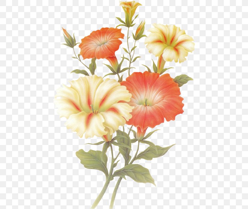 Orkut Floral Design Flower Love Spring, PNG, 470x692px, Orkut, Annual Plant, Blog, Cut Flowers, Floral Design Download Free