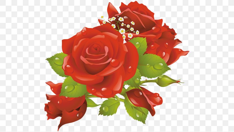 Picture Frames Flower Garden Roses Clip Art, PNG, 514x461px, Picture Frames, Cut Flowers, Floral Design, Floribunda, Floristry Download Free