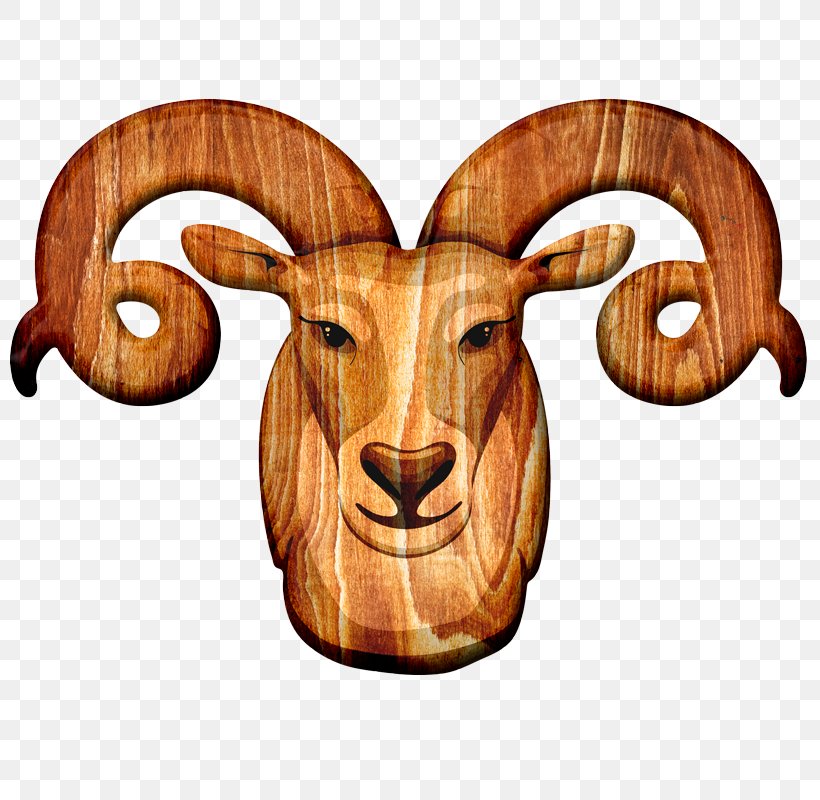 Sheep Goat, PNG, 800x800px, Sheep, Ahuntz, Cartoon, Cattle, Cattle Like Mammal Download Free