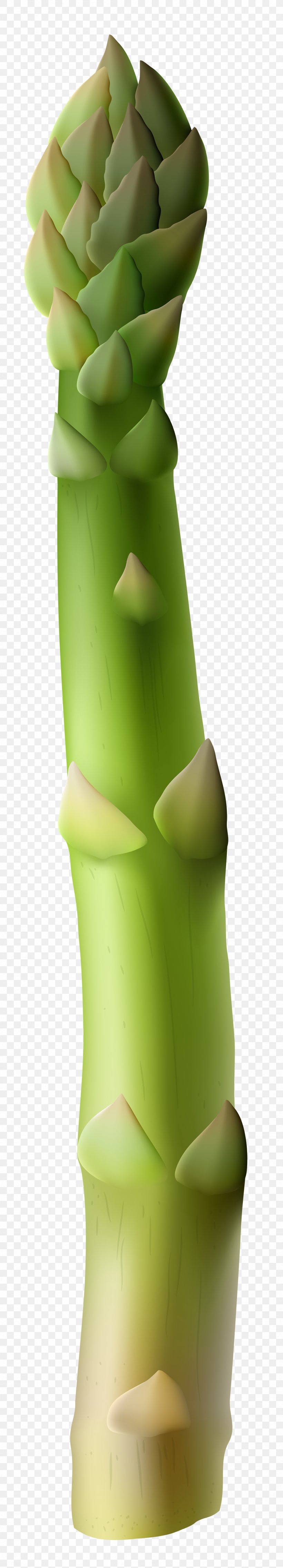 Vase Design Product, PNG, 1263x7000px, Iphone 6s Plus, Art, Artifact, Asparagus, Image Resolution Download Free