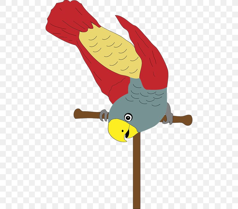 Bird Parrot Yellow Perch Clip Art, PNG, 506x720px, Bird, Animal, Art, Beak, Cartoon Download Free