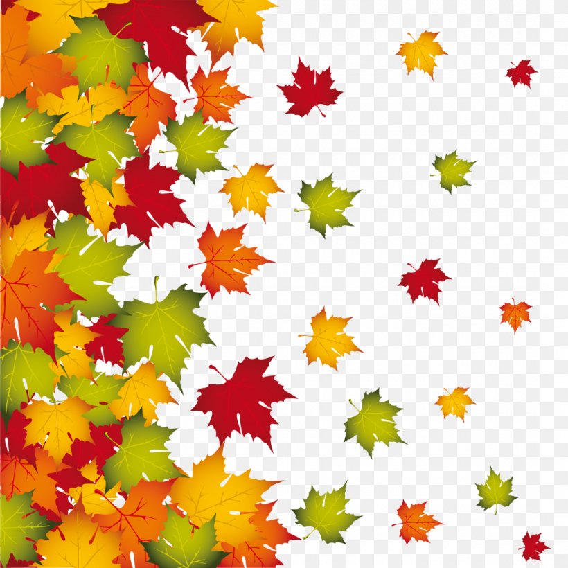 Autumn Leaf Color Autumn Leaf Color Clip Art, PNG, 1080x1080px, Autumn, Autumn Leaf Color, Color, Drawing, Flower Download Free