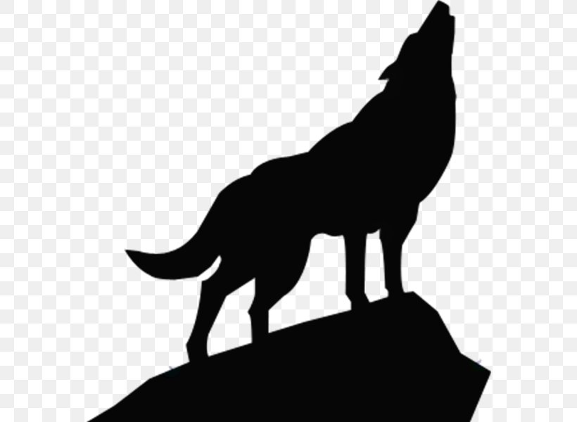 Gray Wolf Art Clip Art, PNG, 576x600px, Gray Wolf, Art, Art Museum, Black, Black And White Download Free