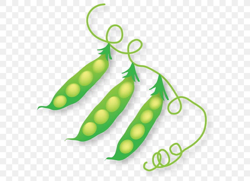 Green Pea Legume Body Jewellery Human Body, PNG, 600x595px, Green Pea, Body Jewellery, Body Jewelry, Food, Fruit Download Free