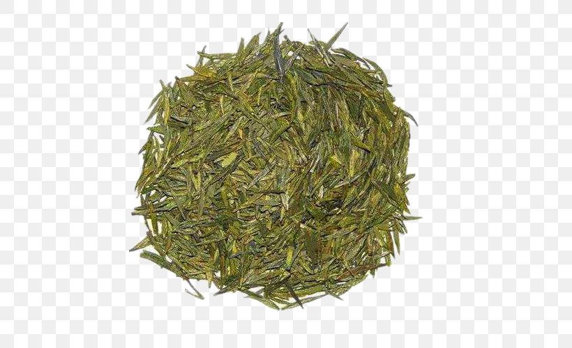 Longjing Tea Dongting Lake Junshan Yinzhen Green Tea, PNG, 500x500px, Tea, Assam Tea, Bai Mudan, Baihao Yinzhen, Bancha Download Free