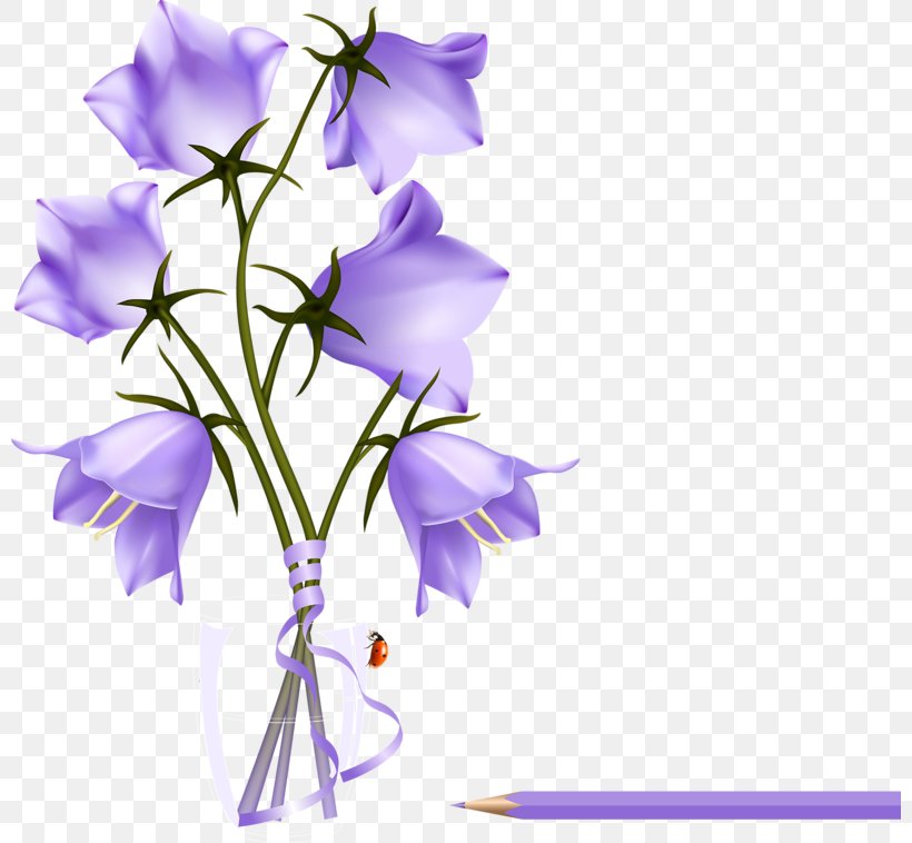 Desktop Wallpaper Flower Clip Art, PNG, 800x758px, Flower, Bellflower, Bellflower Family, Blue, Branch Download Free