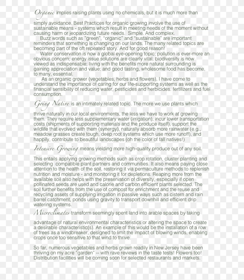 Document Line, PNG, 630x941px, Document, Area, Paper, Text Download Free