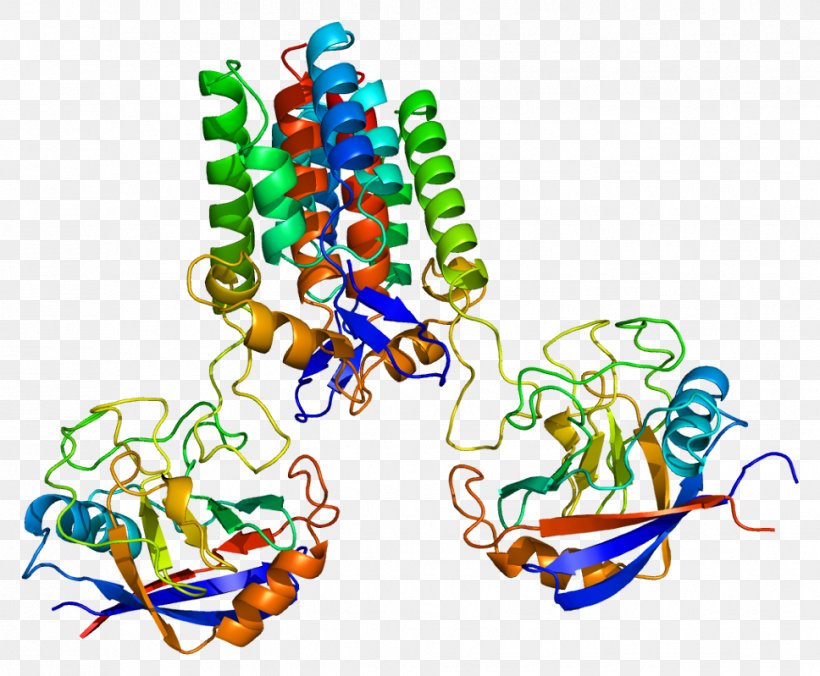 Peptidylprolyl Isomerase A Cyclophilin Peptidylprolyl Isomerase D, PNG, 968x799px, Prolyl Isomerase, Body Jewelry, Catalysis, Enzyme, Enzyme Commission Number Download Free
