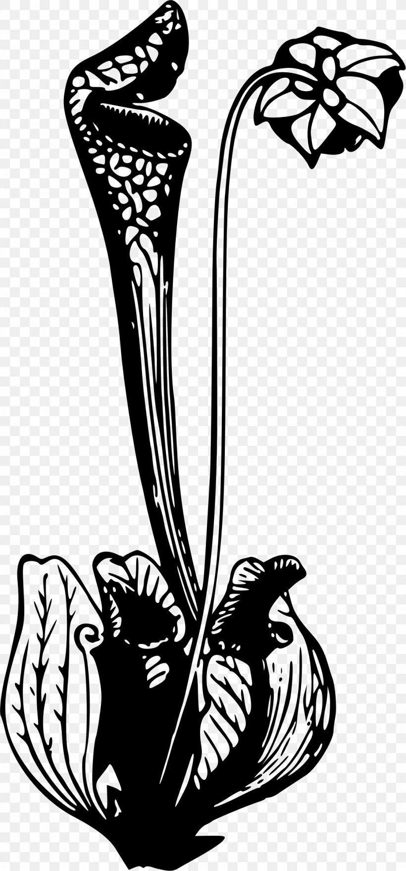 Pitcher Plant Clip Art, PNG, 1118x2398px, Pitcher Plant, Art, Black And White, Carnivorous Plant, Computer Download Free