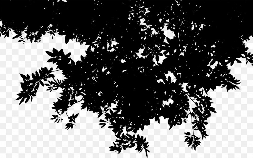 Desktop Wallpaper Computer Silhouette Leaf Sky, PNG, 1600x1006px, Computer, Black, Black M, Blackandwhite, Branch Download Free