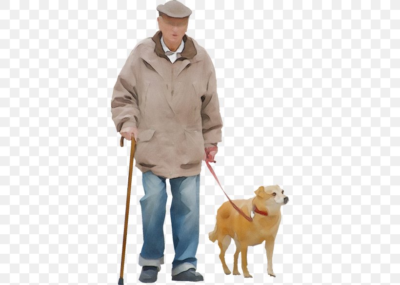 Dog Leash Dog Breed Dog Walking Golden Retriever, PNG, 584x584px, Watercolor, Dog, Dog Breed, Dog Walking, Golden Retriever Download Free