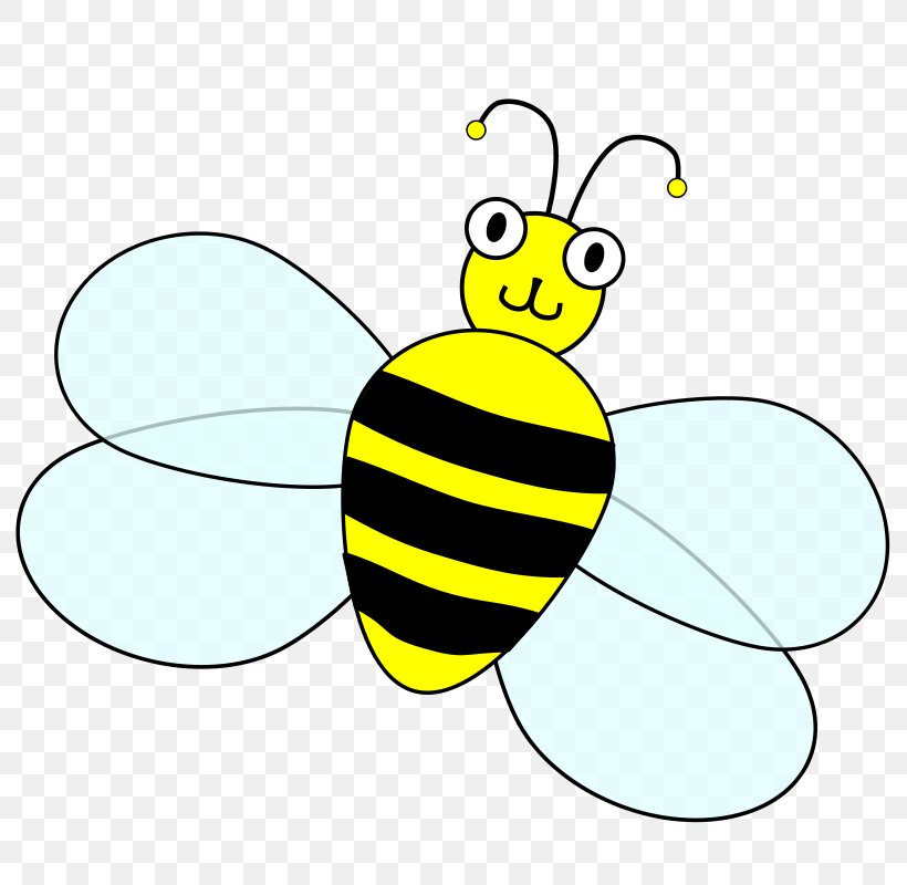 Honey Bee Bumblebee Clip Art, PNG, 800x800px, Honey Bee, Area, Artwork, Bee, Beehive Download Free