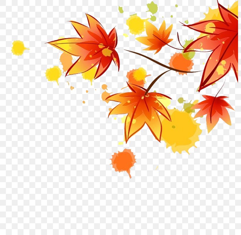 Autumn Maple Leaf Download, PNG, 800x800px, Autumn, Art, Autumn Leaf Color, Branch, Cartoon Download Free