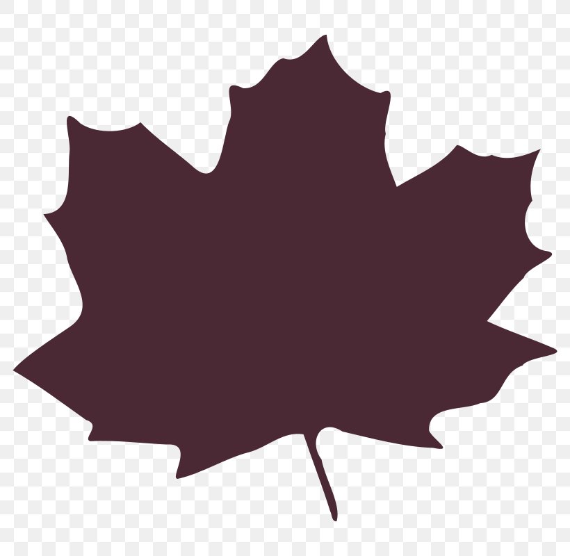 Clip Art Autumn Leaf Image, PNG, 800x800px, Autumn, Autumn Leaf Color, Flowering Plant, Leaf, Maple Leaf Download Free