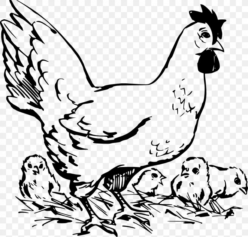Silkie Polish Chicken Dorking Chicken Broiler White Cut Chicken, PNG, 1000x958px, Silkie, Art, Beak, Bird, Black Download Free