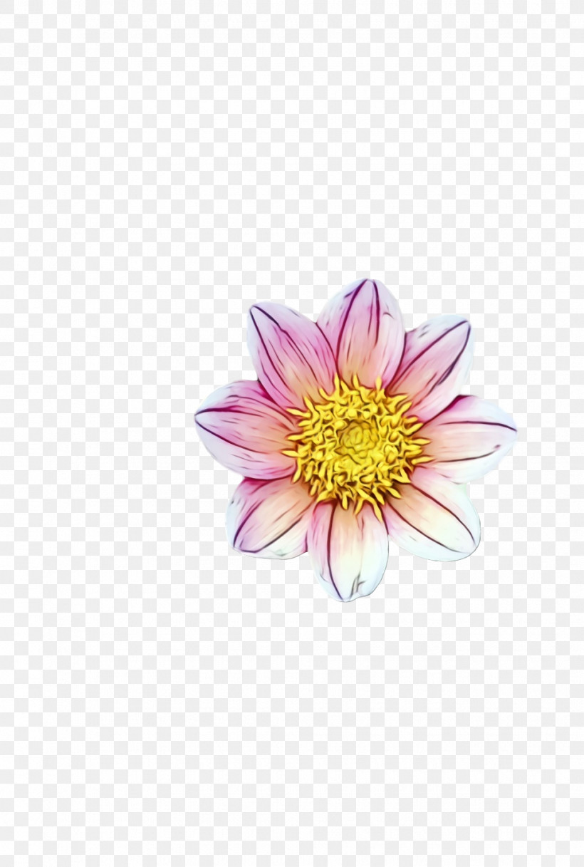 Dahlia Chrysanthemum, PNG, 970x1440px, Watercolor, Chrysanthemum, Dahlia, Paint, Wet Ink Download Free