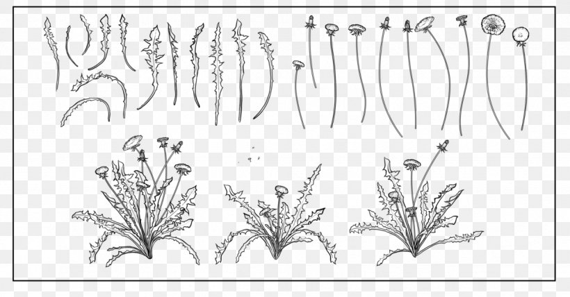 Drawing Line Art Photography, PNG, 1236x646px, Drawing, Art, Black, Black And White, Branch Download Free