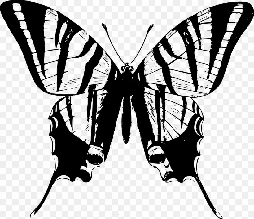 Iron Butterfly T-shirt Swallowtail Butterfly, PNG, 1000x862px, Butterfly, Arthropod, Black And White, Brush Footed Butterfly, Clothing Download Free