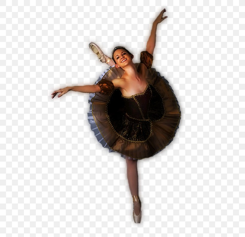 Pole Dance Ballet Blog Art, PNG, 558x792px, Watercolor, Cartoon, Flower, Frame, Heart Download Free