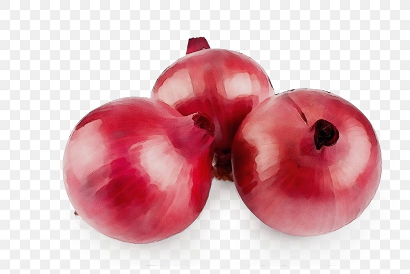 Red Onion Vegetable Welsh Onion Food, PNG, 800x549px, Onion, Accessory Fruit, Berry, Cranberry, Currant Download Free