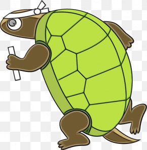 Box Turtle Reptile Tortoise Clip Art, PNG, 2400x1813px, Turtle, Animal ...