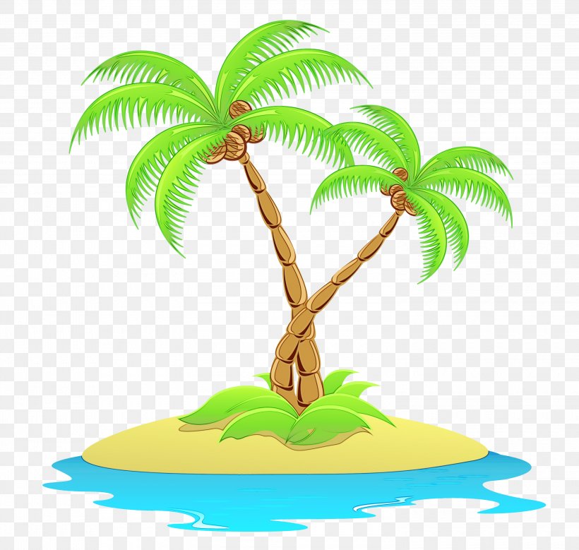 Coconut Tree Cartoon, PNG, 3000x2852px, Hakuna Matata Maui Hostel, Arecales, Backpacker Hostel, Beach, Coconut Download Free