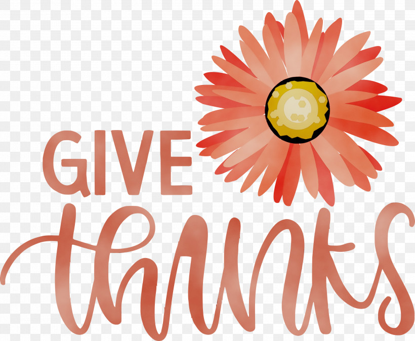 Cut Flowers Daisy Family Petal Logo Font, PNG, 3000x2468px, Thanksgiving, Be Thankful, Common Daisy, Cut Flowers, Daisy Family Download Free