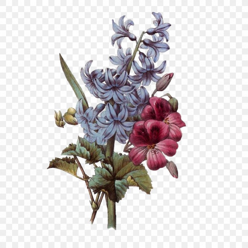 Flower Bouquet Floral Design Botanical Illustration Clip Art, PNG, 1000x1000px, Flower Bouquet, Art, Artificial Flower, Botanical Illustration, Botany Download Free