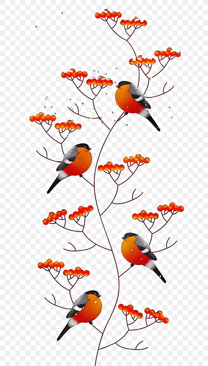 Eurasian Bullfinch Birds Şakrak Kuşu Rowan Pyrrhula, PNG, 720x1440px, Watercolor, Birds, Eurasian Bullfinch, Paint, Pyrrhula Download Free