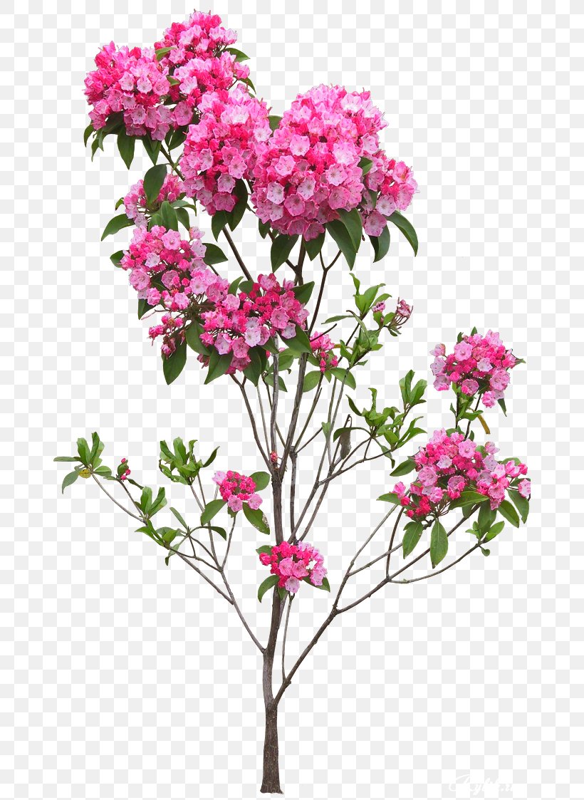 Indoor Plants & Hanging Baskets Flower Rose Shrub, PNG, 670x1123px, Flower, Artificial Flower, Blossom, Bougainvillea, Branch Download Free