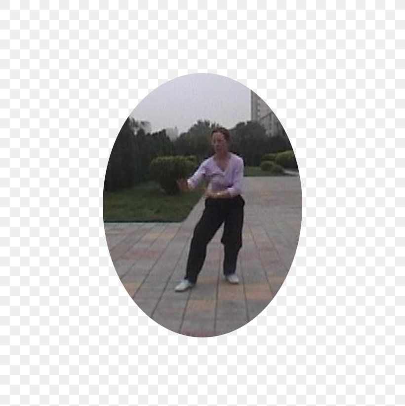 Xing Yi Quan Wudang Quan Martial Arts Wu Xing Research, PNG, 662x823px, Xing Yi Quan, Chemical Element, Grass, Martial Arts, Martial Arts Film Download Free