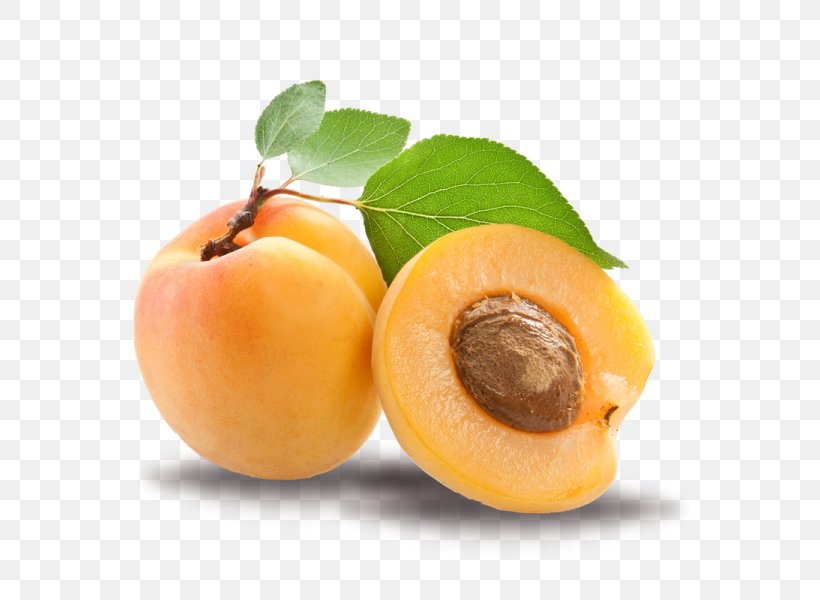Apricot Kernel Apricot Oil Amygdalin, PNG, 600x600px, Apricot Kernel, Amygdalin, Apricot, Apricot Oil, Burusho People Download Free