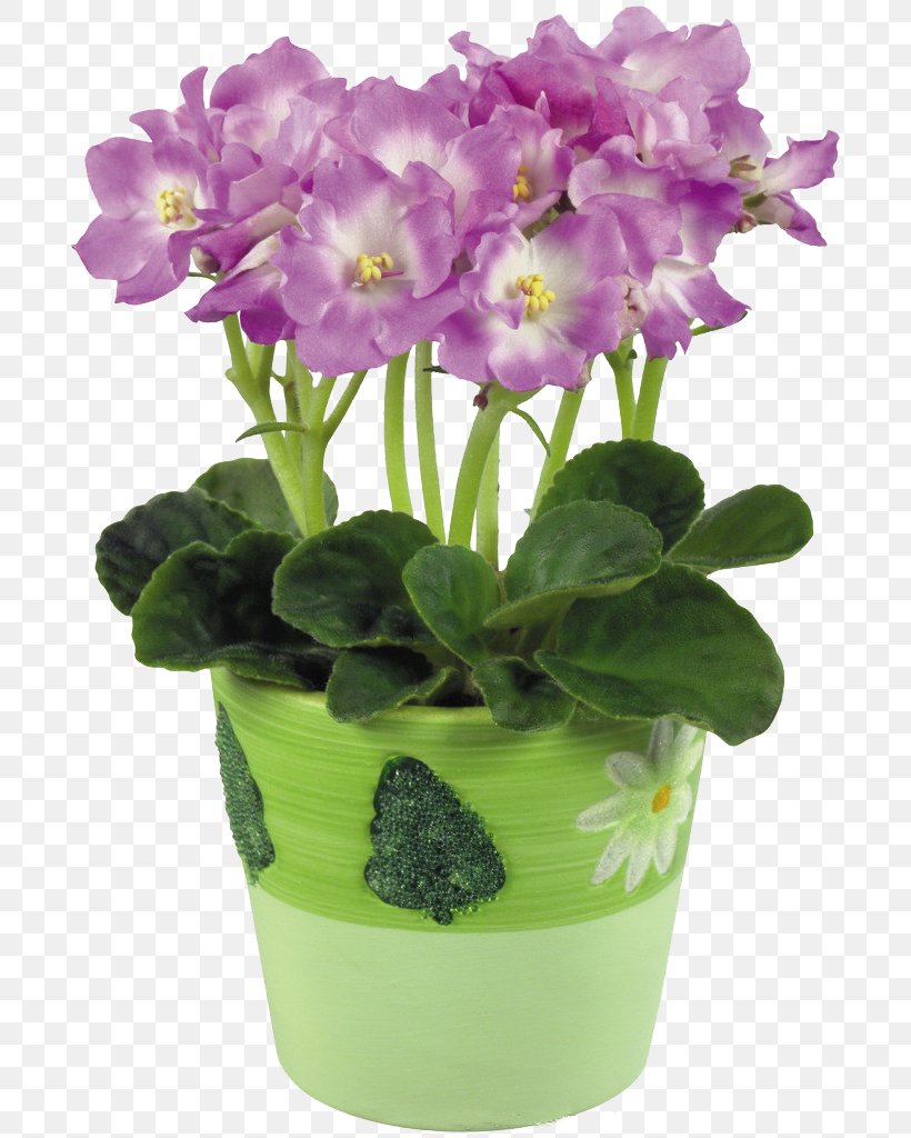 Flowerpot African Violets, PNG, 714x1024px, Flowerpot, African Violets, Crock, Cut Flowers, Floral Design Download Free