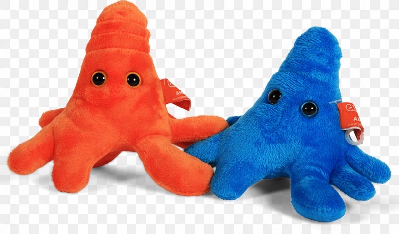 Amoeba Proteus GIANTmicrobes Microorganism Toy, PNG, 900x528px, Amoeba, Amoeba Proteus, Cephalopod, Color, Eye Download Free