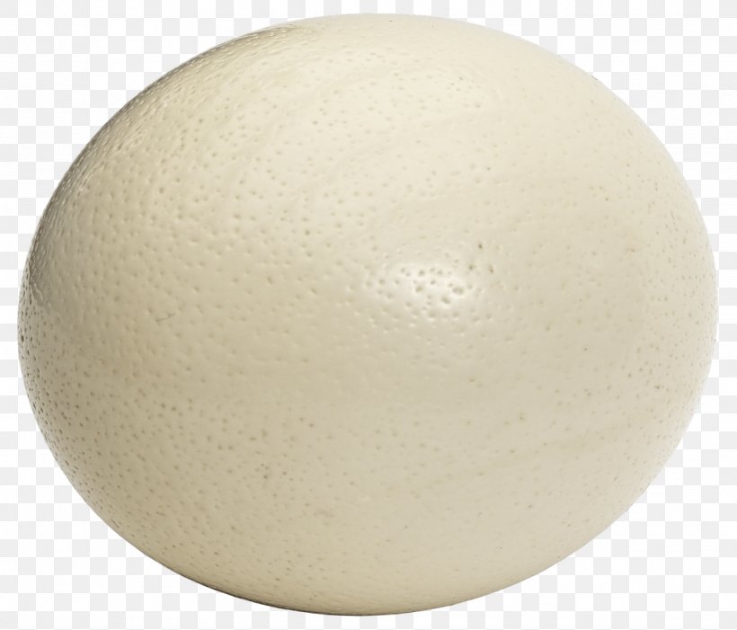 Common Ostrich Chicken Egg Bird Ostrich Meat, PNG, 1024x876px, Common Ostrich, Bird, Boiled Egg, Calorie, Chicken Download Free