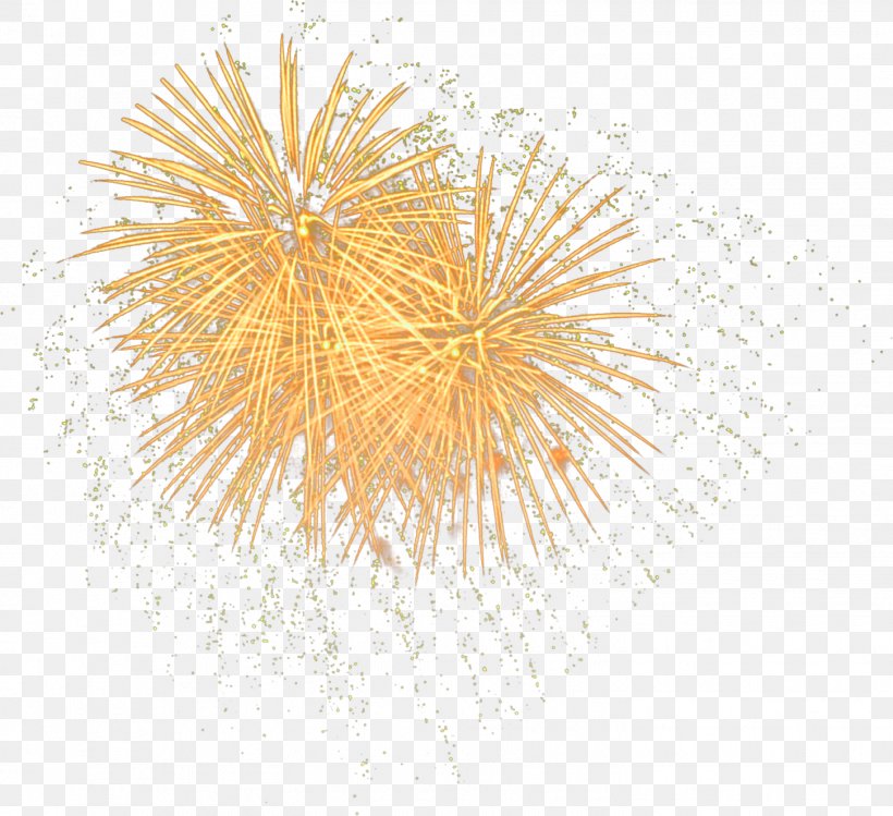 Fireworks Pyrotechnics, PNG, 1451x1326px, Fireworks, Art, Artificier, Designer, Festival Download Free