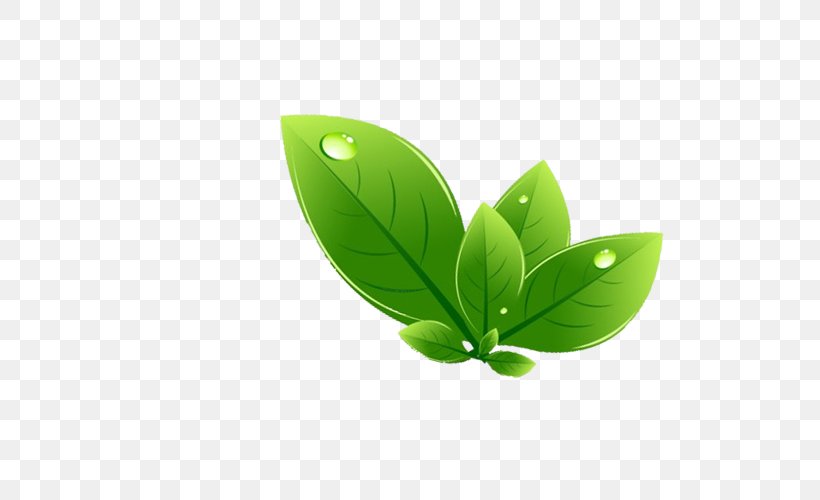 Leaf Green, PNG, 700x500px, Leaf, Grass, Green, Logo, Motif Download Free