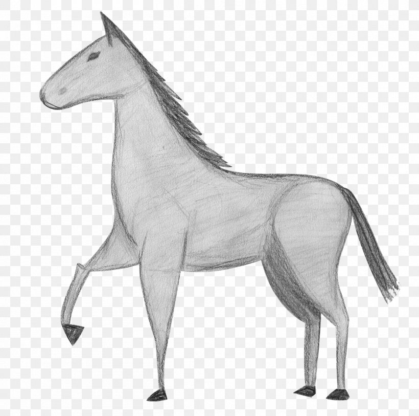 Mule Foal Stallion Pony Rein, PNG, 1258x1248px, Mule, Animal Figure, Black And White, Bridle, Drawing Download Free