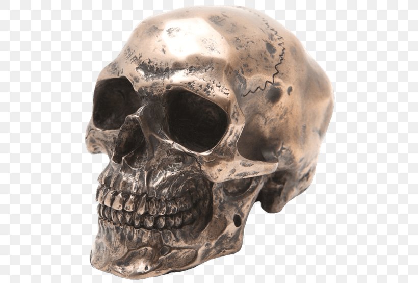 Skull Figurine Human Skeleton Sculpture Resin Casting, PNG, 555x555px, Skull, Art, Bone, Bronze, Bronze Sculpture Download Free