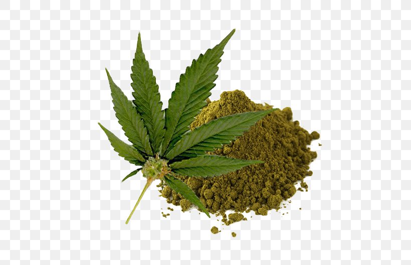 Cannabis Sativa Legality Of Cannabis Legalization Medical Cannabis, PNG, 530x530px, Cannabis Sativa, Cannabidiol, Cannabis, Cannabis Cultivation, Drug Download Free