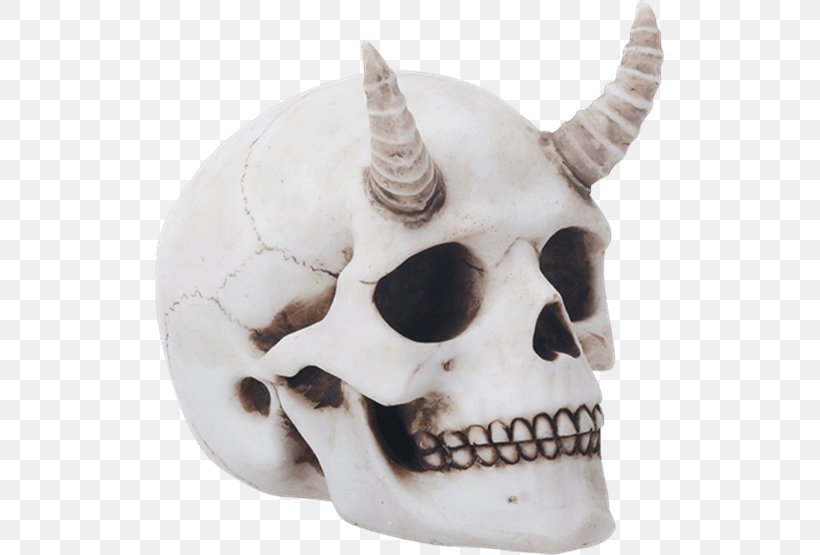 Human Skull Horn Skeleton Calavera, PNG, 555x555px, Skull, Bone, Calavera, Crystal Skull, Euclidean Space Download Free