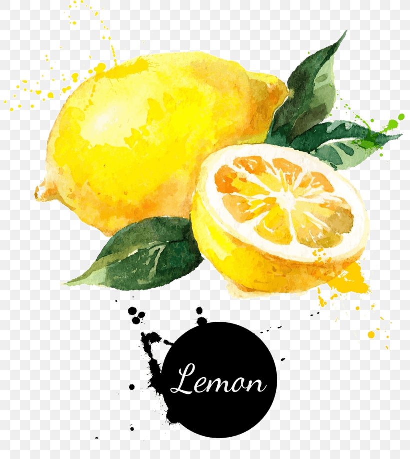 Vector Graphics Royalty-free Stock Photography Drawing Lemon, PNG, 803x917px, Royaltyfree, Bitter Orange, Citric Acid, Citron, Citrus Download Free