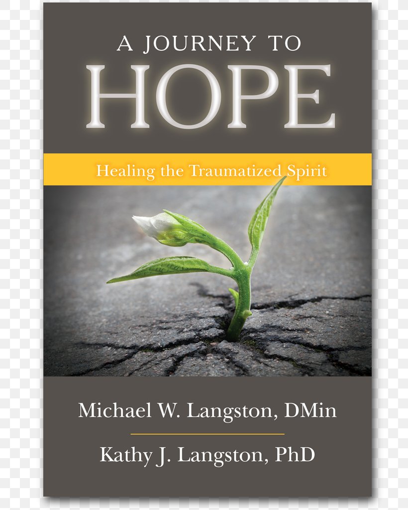 A Journey To Hope: Healing The Traumatized Spirit Bounce: Living The Resilient Life Resilient Warriors Are You Dying To Live Author, PNG, 791x1024px, Author, Book, Emotion, Energy, Northwest Download Free