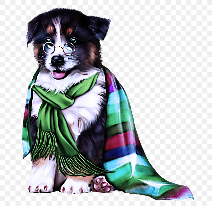 Border Collie, PNG, 680x800px, Dog, Australian Shepherd, Border Collie, Companion Dog, Green Download Free