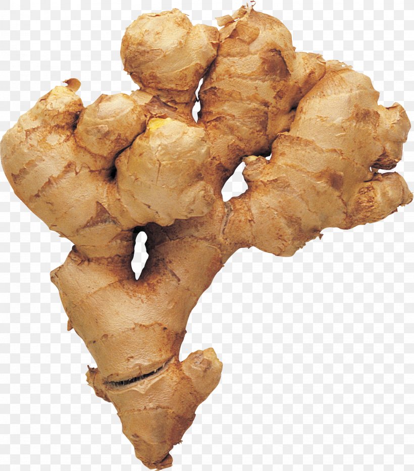 Ginger Tea Mead Root, PNG, 1948x2217px, Tea, Cooking, Food, Fried Food, Galangal Download Free